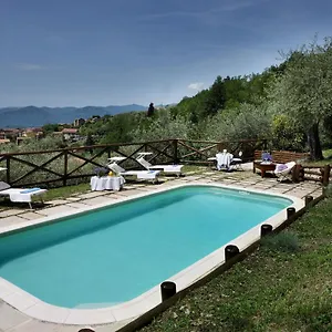 villa-belli-luxury-villa-with-saltwater-swimmingpool.it-tuscanyhotel.com/
